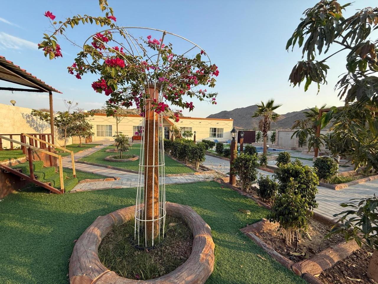 800 Mountain Resort Vacation House Ель-Фуджайра Екстер'єр фото